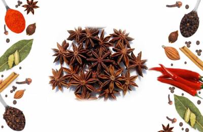 Бадьян анис звездчатый 20 грамм Арадонг