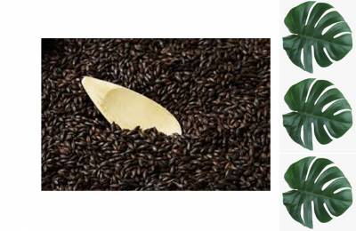 Солод BlackSwaen Barley 1 кг Полоз
