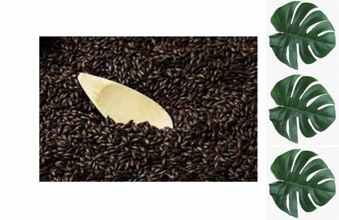 Солод BlackSwaen Barley 1 кг Полоз