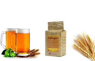 Купить Дрожжи Saflager 500 г Северобайкальск