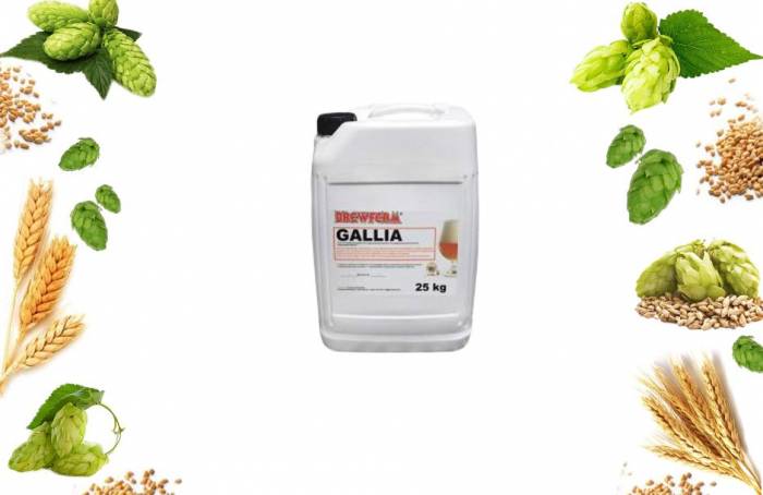 Купити Купити Пивной солодовый экстракт BrewFerm GALLIA Belgian Ale Зигота в Україні в Україні