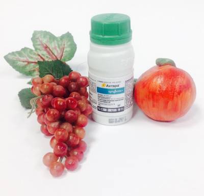 Инсектицид Актара для картофеля, смородины и цветов