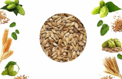 Солод Пшеничный 25кг в упаковке Зефирос