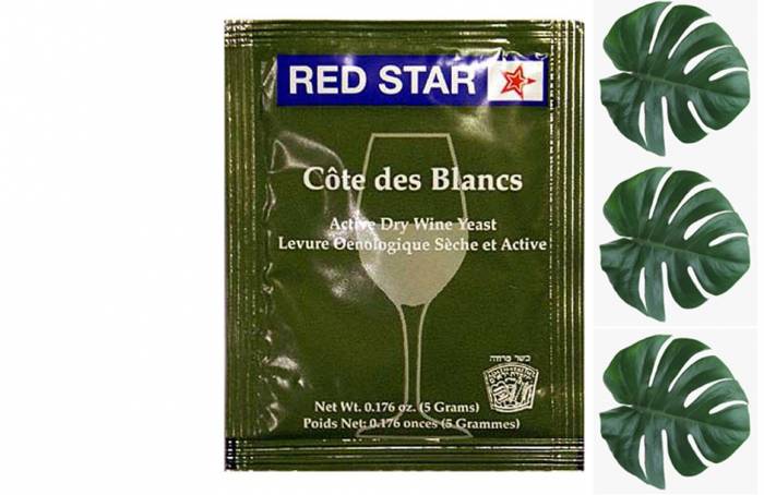 Купити Купити Винные дрожжи Red Star Cote des Blanc 5 грамм Нойлер в Україні в Україні