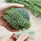 Купити Купити OASIS IDEAL Сфера в Україні в Україні