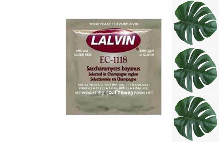 Купити Купити Дрожжи винные Lalvin Манекен в Україні в Україні