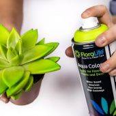Купити Купити Floralife Aqua Color Spray 400ml Широкая площадь покрытия ,практически без запаха.Для работы с цветами и растениями ярко-желтый в Україні в Україні