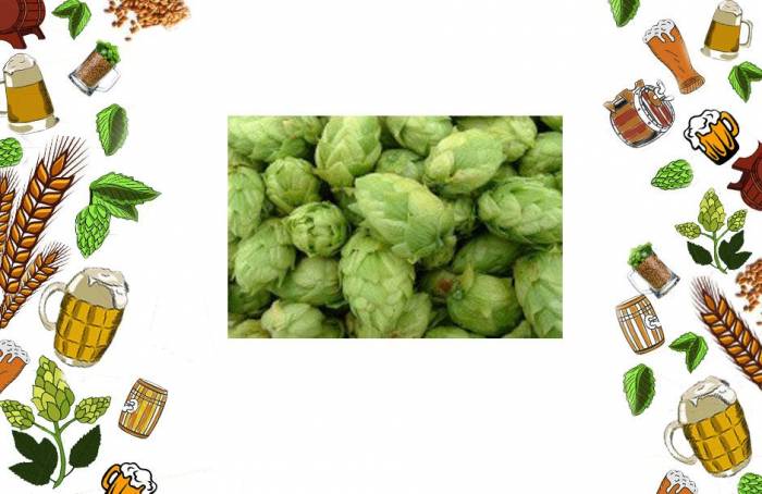 Купить Хмель Simcoe 1 кг Нижний Новгород