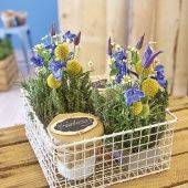 OASIS Table Design Neo