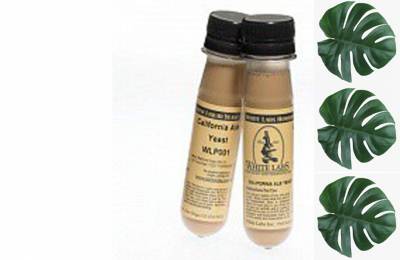 Дрожжи Steinberg Geisenheim Yeast Мачете