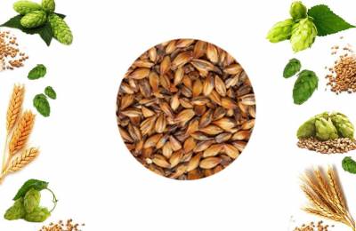 Солод Ржаной ферментированный 40кг в упаковке Зотикос