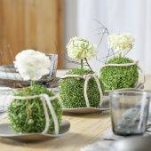 OASIS IDEAL Сфера