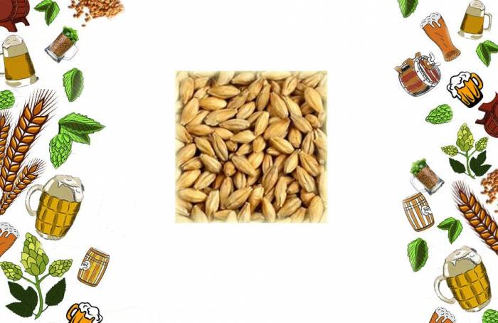 Солод ячменный Копченый best smoked malt 3 EBC Германия Гонг