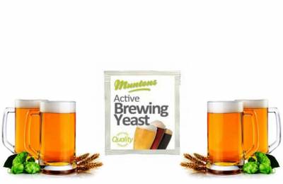 Купить Дрожжи Muntons Standart Yeast 6 г Поронайск