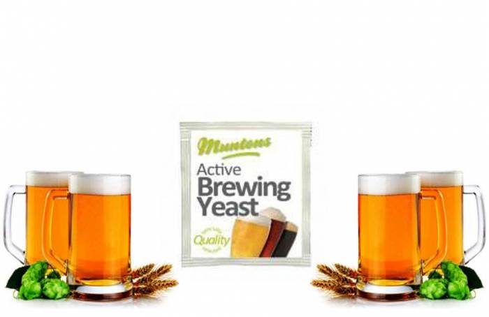 Купить Дрожжи Muntons Standart Yeast 6 г Поронайск