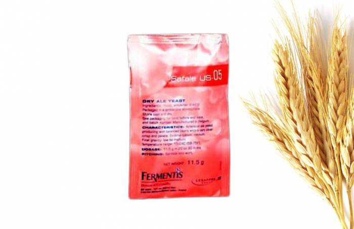 Купити Купити Пивные дрожжи Fermentis US-05 в Україні в Україні