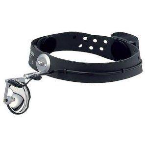 Продажа Налобный осветитель clar N 55 LED 6 V Иссоп