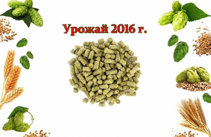 Купити Купити Урожай 2016 г Хмель Славянка Украина  100 грамм Штейцер в Україні в Україні