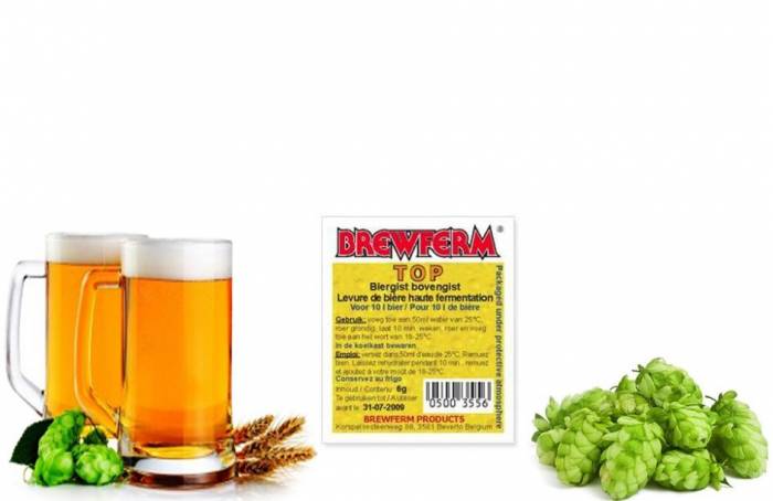 Купити Купити Сухие пивные дрожжи BREWFERM TOP 6g Диско в Україні в Україні