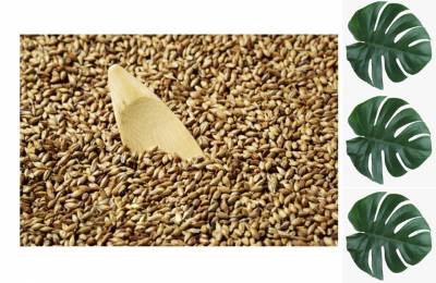 Солод GoldSwaen Classic 1 кг Удавчик пятнистый