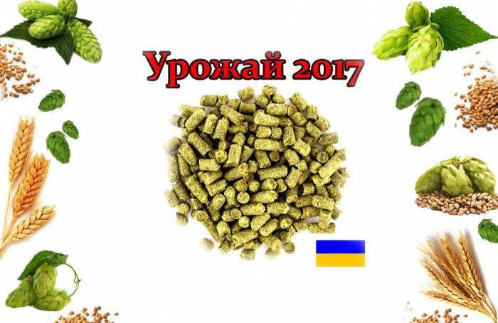 Купити Купити Урожай 2017 г Хмель Национальный Украина 100 грамм Шейтедем в Україні в Україні