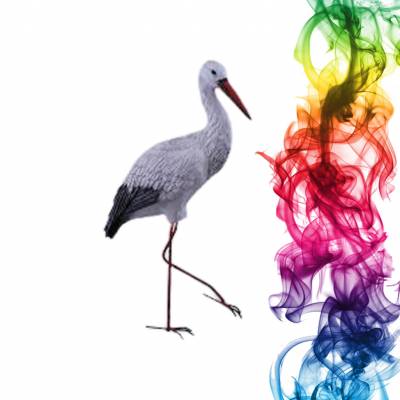 Садовая фигура купить Стерх на металлических ногах высота 45 см киви