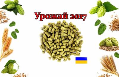 Урожай 2017 г Хмель Альта Украина 100 грамм Шейтан