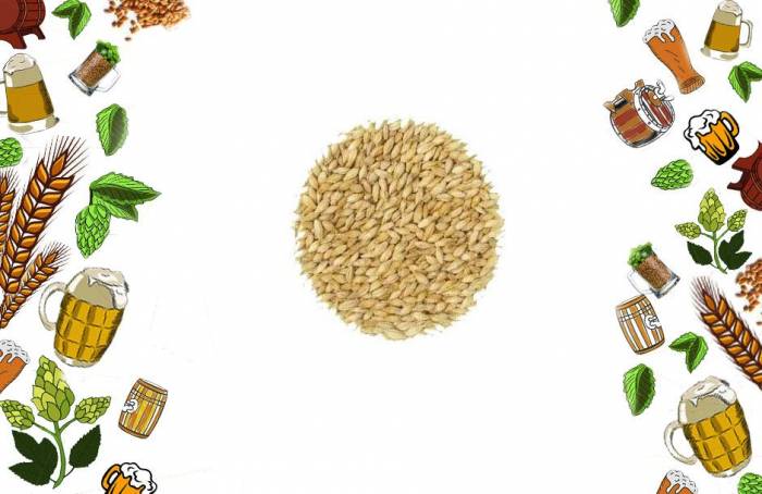 Купити Купити Солод пшеничный Шато Вит Блан Wheat Гардина в Україні в Україні