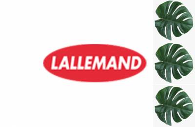 Где купить дрожжи LALVIN CLOS 100 г Баня