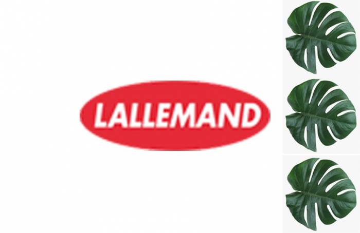 Где купить дрожжи LALVIN CLOS 100 г Баня