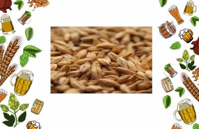 Купить Солод ячменный Кислый 1 кг Мураши