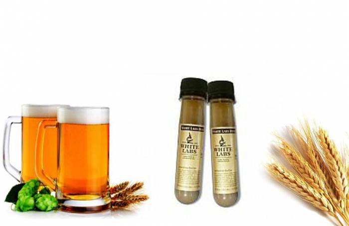 Купити Купити Дрожжи East Midlands Ale Yeast Индра в Україні в Україні