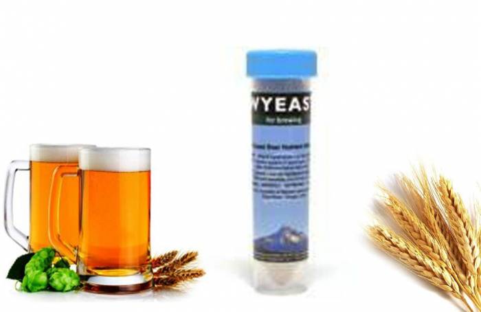Купити Купити Питательная добавка Wyeast Beer Nutrient Ирония в Україні в Україні