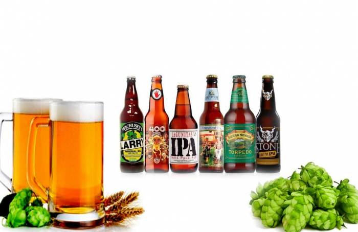 Купити Купити Купить набор для приготовления Single-Hop Cascade IPA India Pale Ale Рагаиз в Україні в Україні