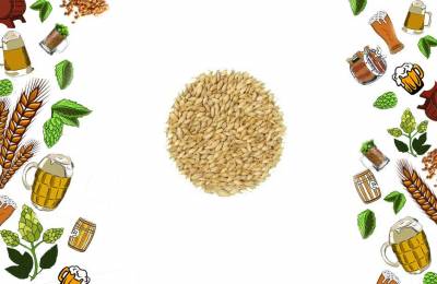 Солод ячменный Винер Vienna Malt Weyermann Гонор