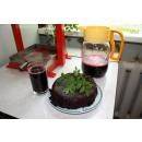 Пресс винтовой  VP-3 Лучший помощник на вашей кухне.