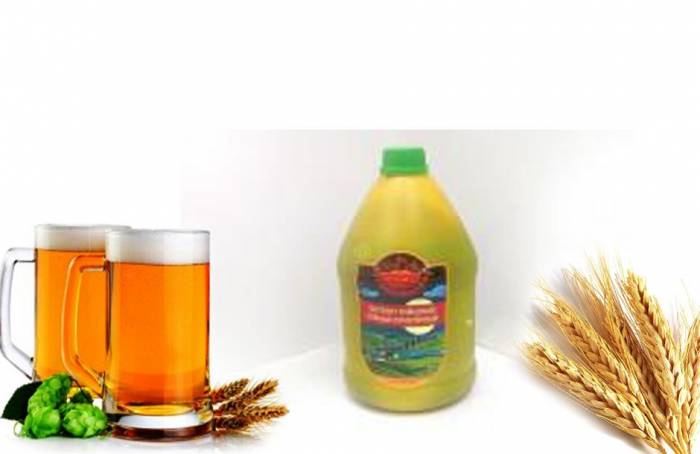 Купити Купити Купить Экстракт охмеленный Beervingem темный 4 кг Дмитров в Україні в Україні