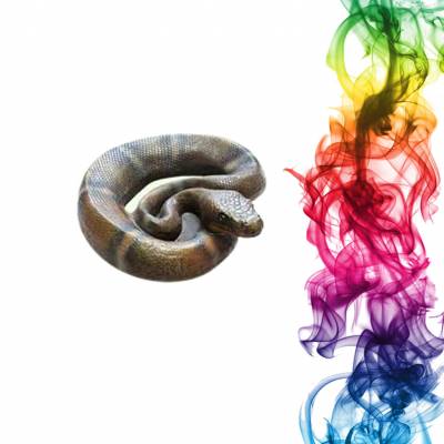 Садовая фигура купить Змея высота 8 см барбарис