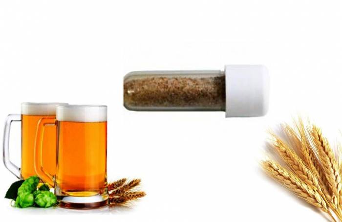 Купить Подкормка Beervingem для дрожжей 5 г Прохладный