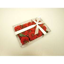 Комплект « Листики и красные цветы » 70шт.