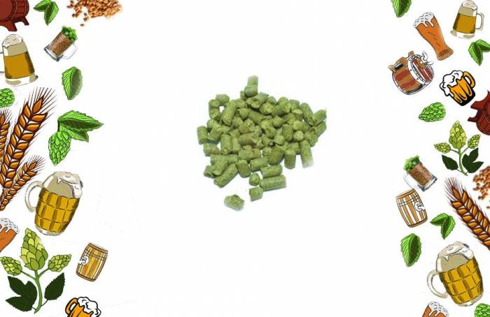 Купити Купити Хмель Сорачи Эйс Sorachi Ace урожай 2015г Япония США 25 грамм Шенфер в Україні в Україні