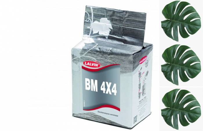 Купити Купити Винные дрожжи Lalvin BM4X4 500 г  в Україні в Україні