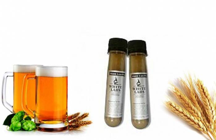 Купити Купити Дрожжи French Ale Инжир в Україні в Україні