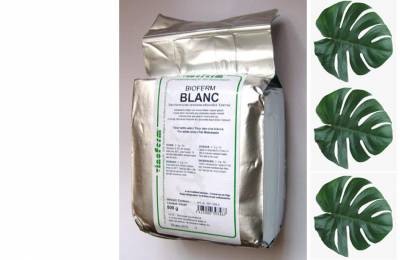 Винные дрожжи VINOFERM Blanc 500 грамм Флейшен