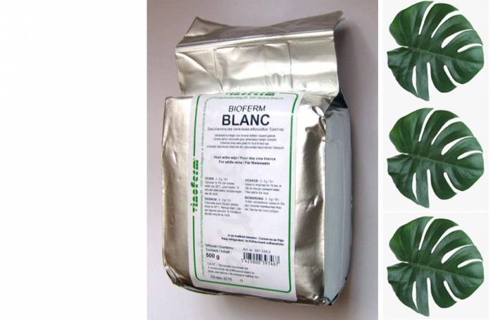 Купити Купити Винные дрожжи VINOFERM Blanc 500 грамм Флейшен в Україні в Україні