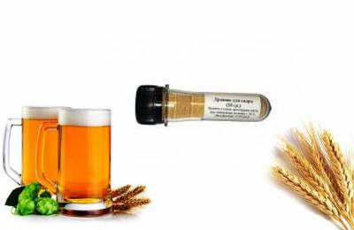 Купить Дрожжи BeerVingem для сидра 10 г Сергиев Посад