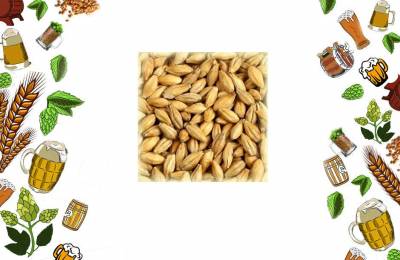 Солод ячменный Шато Пильсен 1 кг Аргу