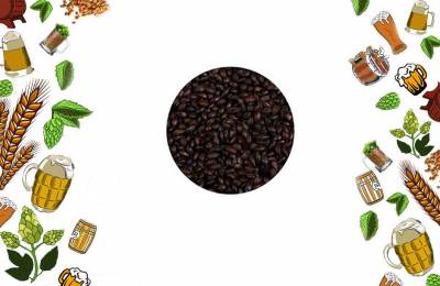 Солод ячменный Шато Кофе Coffee 500 EBC ГАРСОН