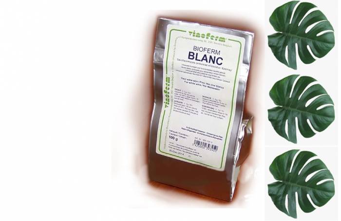Купити Купити Винные дрожжи VINOFERM Blanc 100 грамм Риккерг в Україні в Україні
