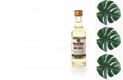 Купить Эссенция MixerMan Mosel Уэлен